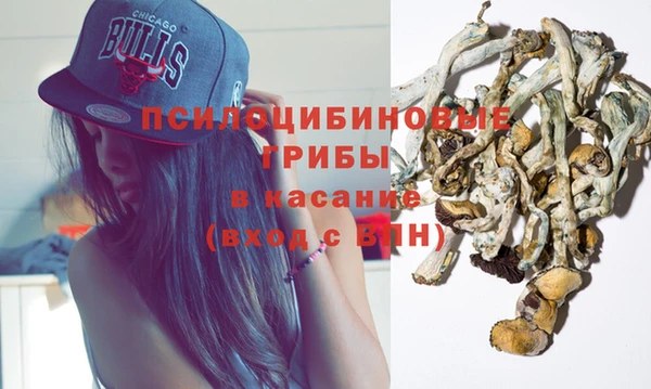 дурь Новозыбков