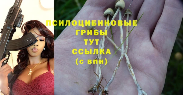 амфетамин Новодвинск
