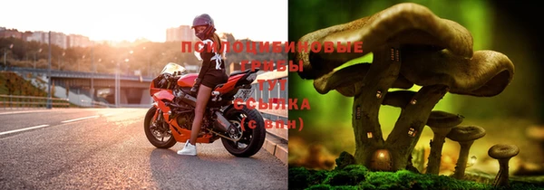 амфетамин Новодвинск