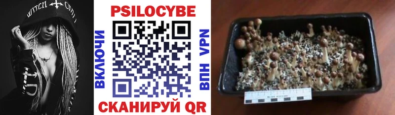 сайты даркнета как зайти  сколько стоит  Грязи  Псилоцибиновые грибы GOLDEN TEACHER 