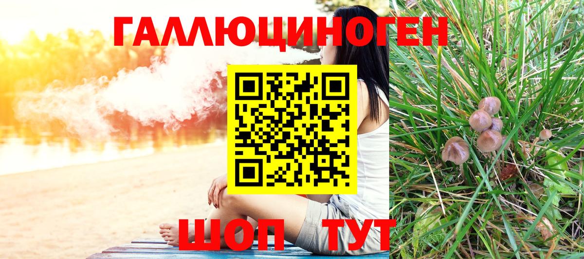 Галлюциногенные грибы Cubensis Грязи
