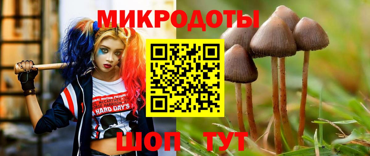 где купить наркоту  Псилоцибиновые грибы MAGIC MUSHROOMS  Вход с VPN  Грязи  Галлюциногенные грибы MAGIC MUSHROOMS 