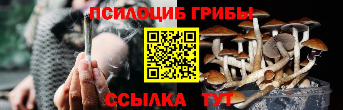 Галлюциногенные грибы Cubensis  Грязи 